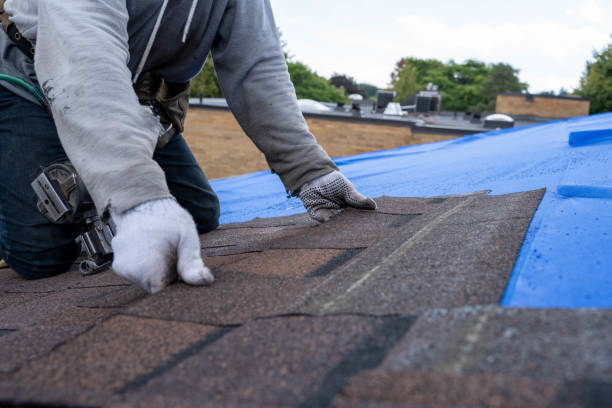 Best Roof Repair Services  in Mount Ida, AR