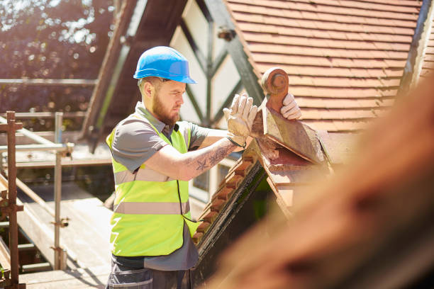 Best Roof Gutter Cleaning  in Mount Ida, AR
